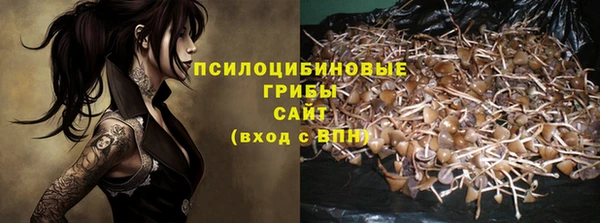кокс Магас