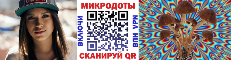 Псилоцибиновые грибы мицелий Балашиха