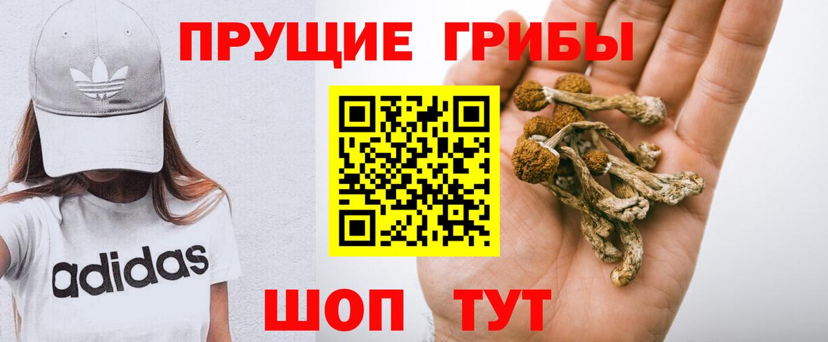 Галлюциногенные грибы мухоморы  Галлюциногенные грибы Cubensis  Балашиха 